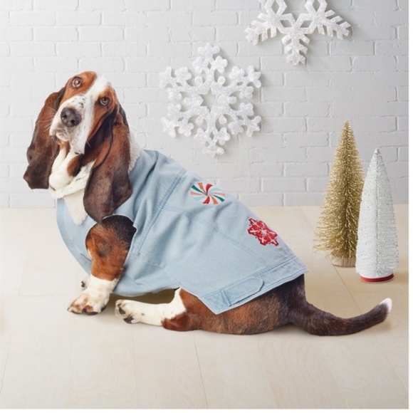 how much do newborn kittens eat